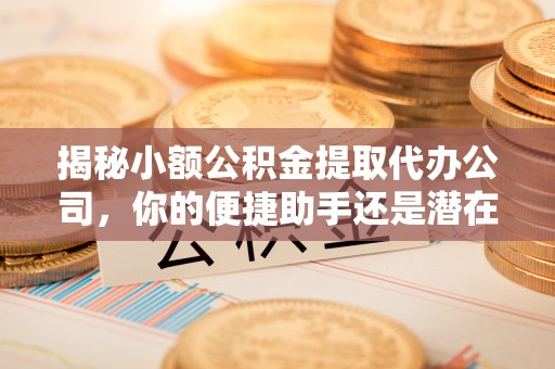 资兴揭秘小额公积金提取代办公司，你的便捷助手还是潜在风险？