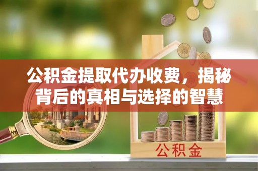 资兴公积金提取代办收费，揭秘背后的真相与选择的智慧