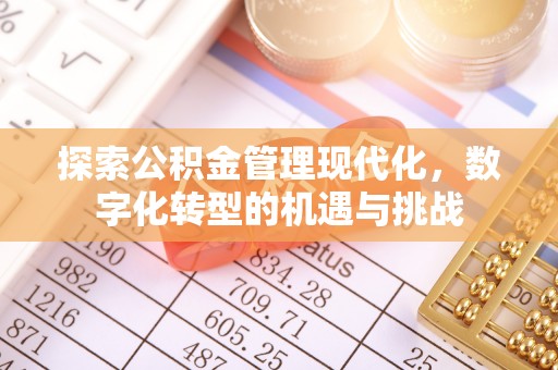 资兴探索公积金管理现代化，数字化转型的机遇与挑战