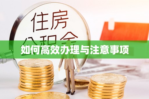 资兴如何高效办理与注意事项