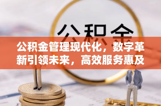 资兴公积金管理现代化，数字革新引领未来，高效服务惠及民生