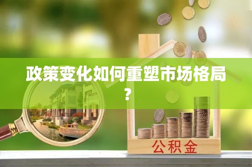 资兴政策变化如何重塑市场格局？