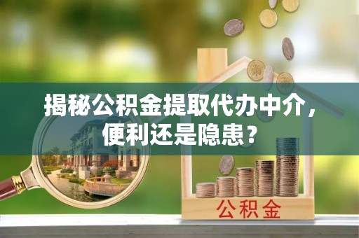 资兴揭秘公积金提取代办中介，便利还是隐患？