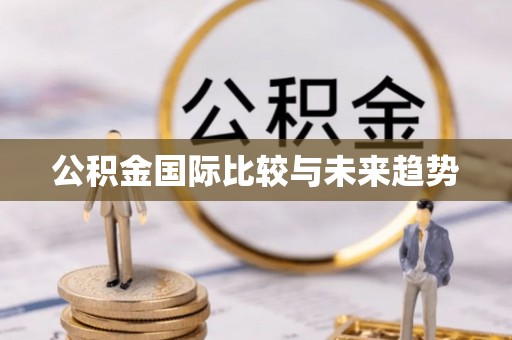 资兴公积金国际比较与未来趋势