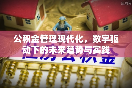 资兴公积金管理现代化，数字驱动下的未来趋势与实践