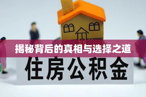 资兴揭秘背后的真相与选择之道