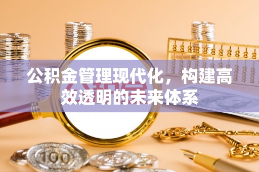 资兴公积金管理现代化，构建高效透明的未来体系