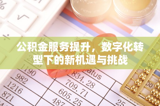 资兴公积金服务提升，数字化转型下的新机遇与挑战