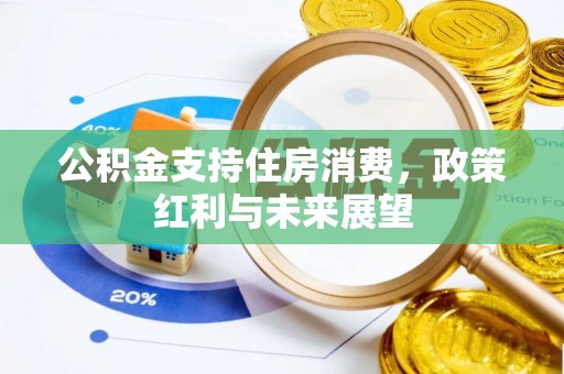 资兴公积金支持住房消费，政策红利与未来展望
