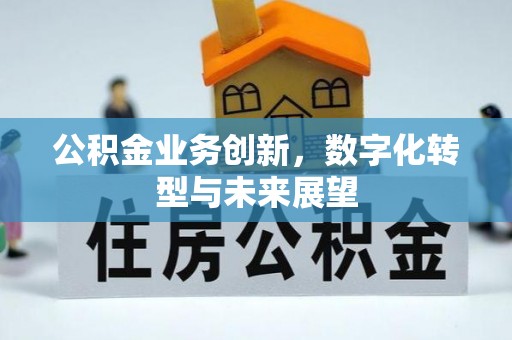 资兴公积金业务创新，数字化转型与未来展望