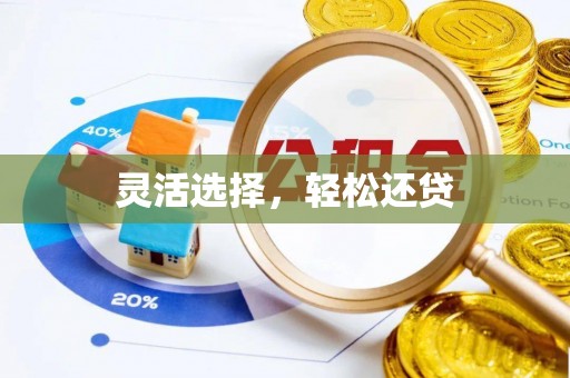 资兴灵活选择，轻松还贷
