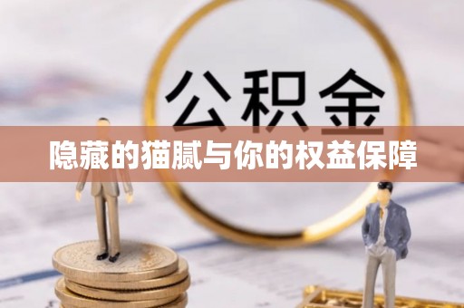 资兴隐藏的猫腻与你的权益保障