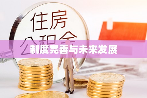 资兴制度完善与未来发展
