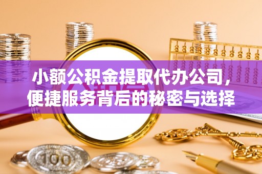 资兴小额公积金提取代办公司，便捷服务背后的秘密与选择指南