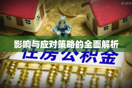 资兴影响与应对策略的全面解析