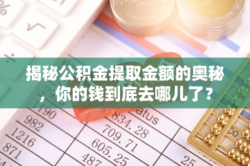 资兴揭秘公积金提取金额的奥秘，你的钱到底去哪儿了？