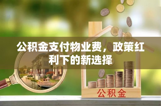 资兴公积金支付物业费，政策红利下的新选择