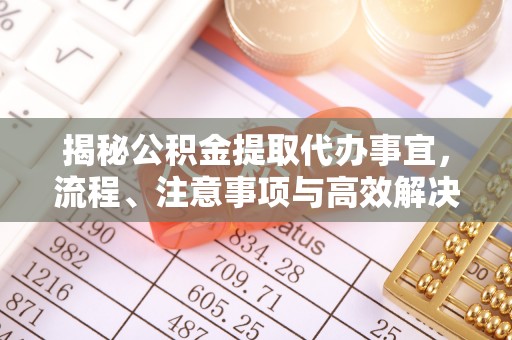 资兴揭秘公积金提取代办事宜，流程、注意事项与高效解决方案