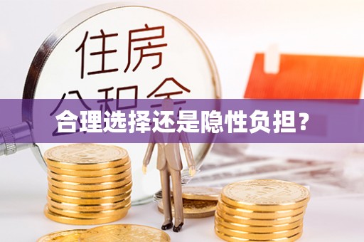 资兴合理选择还是隐性负担？