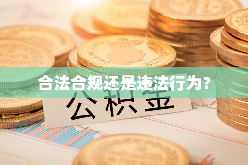 资兴合法合规还是违法行为？