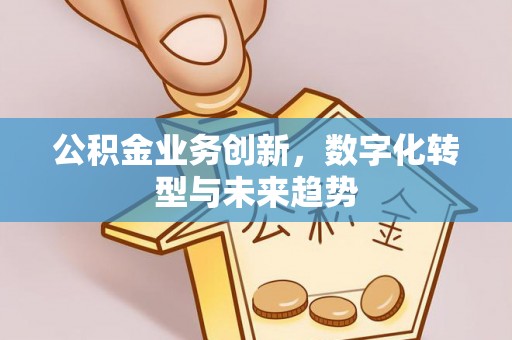 资兴公积金业务创新，数字化转型与未来趋势