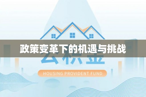 资兴政策变革下的机遇与挑战
