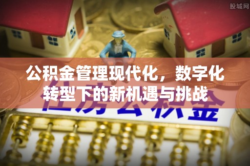 资兴公积金管理现代化，数字化转型下的新机遇与挑战