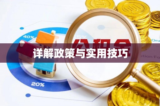 资兴详解政策与实用技巧