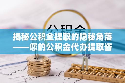 资兴揭秘公积金提取的隐秘角落——您的公积金代办提取咨询指南