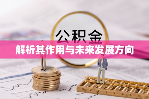 资兴解析其作用与未来发展方向