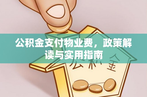 资兴公积金支付物业费，政策解读与实用指南