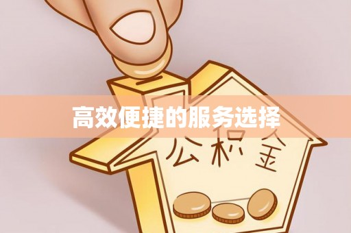 资兴高效便捷的服务选择