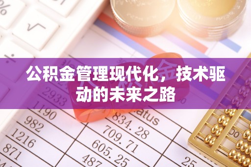 资兴公积金管理现代化，技术驱动的未来之路